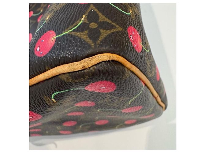 Borsa Louis Vuitton Monogram Cherry Speedy 25 Marrone - vista 11