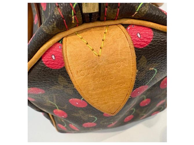 Borsa Louis Vuitton Monogram Cherry Speedy 25 Marrone - vista 5