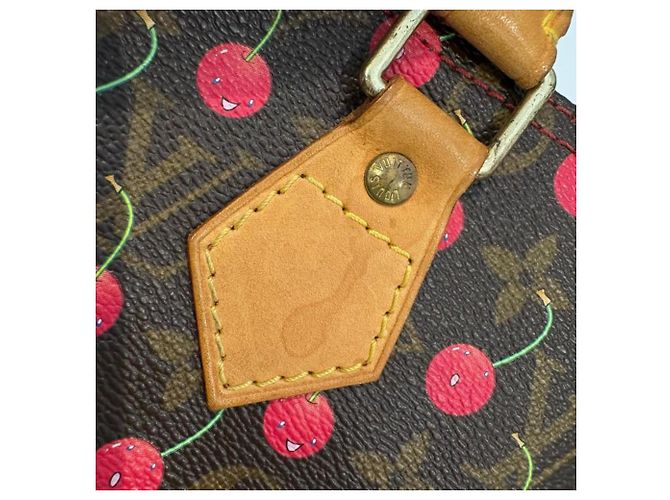 Borsa Louis Vuitton Monogram Cherry Speedy 25 Marrone - vista 6