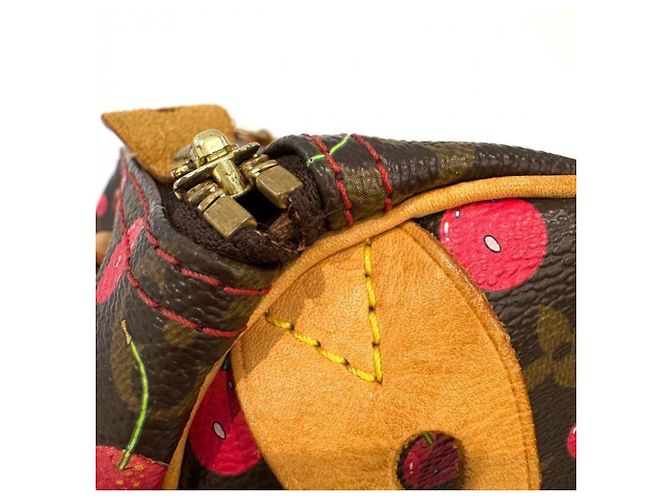 Borsa Louis Vuitton Monogram Cherry Speedy 25 Marrone - vista 9