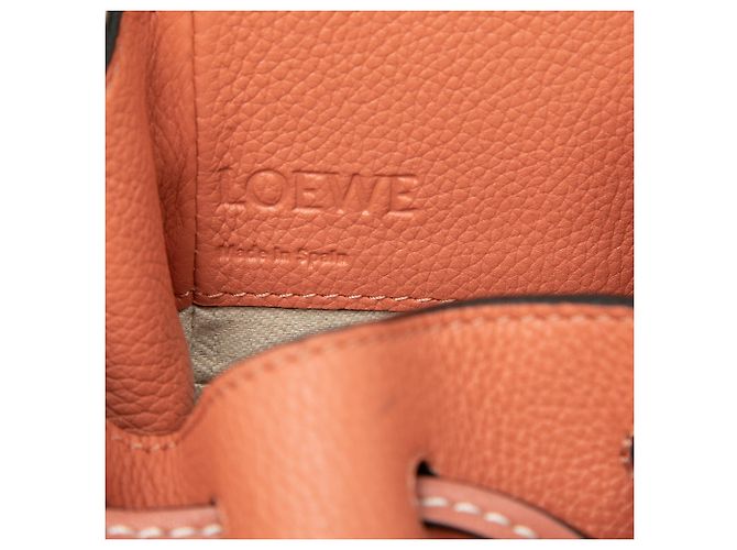 Borsa Hammock Mini LOEWE in vitello grana Orange Arancione Pesca - vista 5