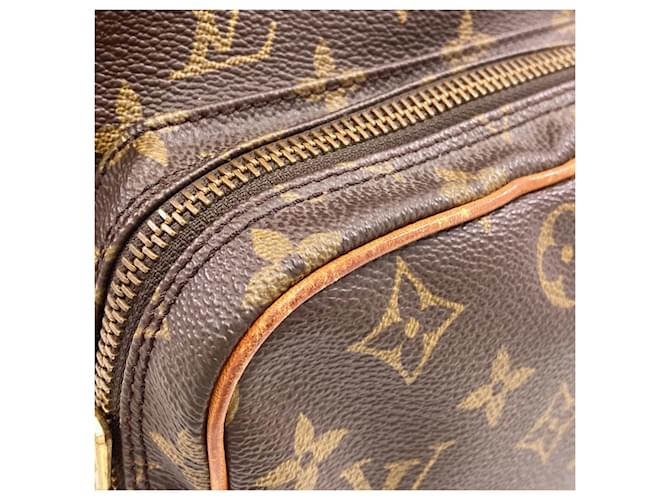 Borsa a tracolla Louis Vuitton Monogram Amazon Monogramma - vista 10