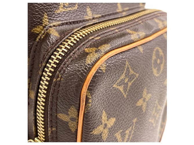 Borsa a tracolla Louis Vuitton Monogram Amazon Monogramma - vista 11