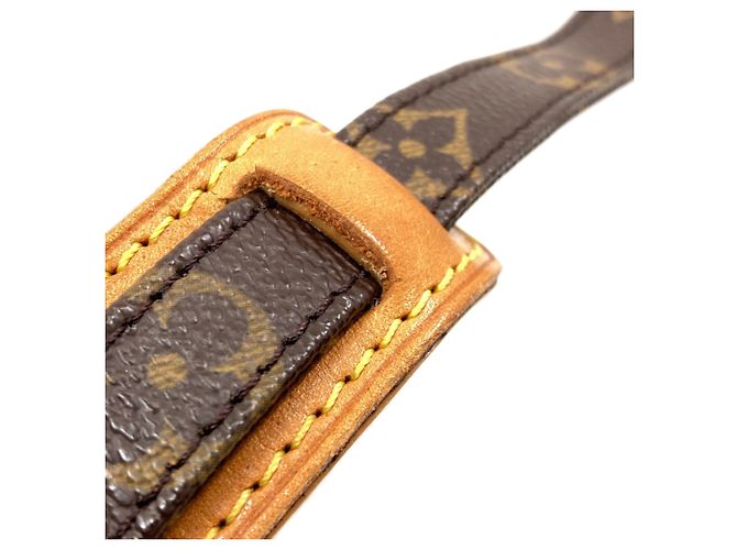 Borsa a tracolla Louis Vuitton Monogram Amazon Monogramma - vista 15