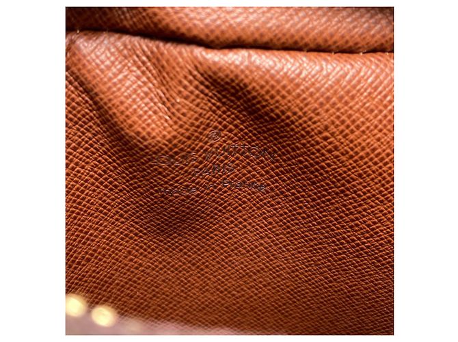 Borsa a tracolla Louis Vuitton Monogram Amazon Monogramma - vista 6