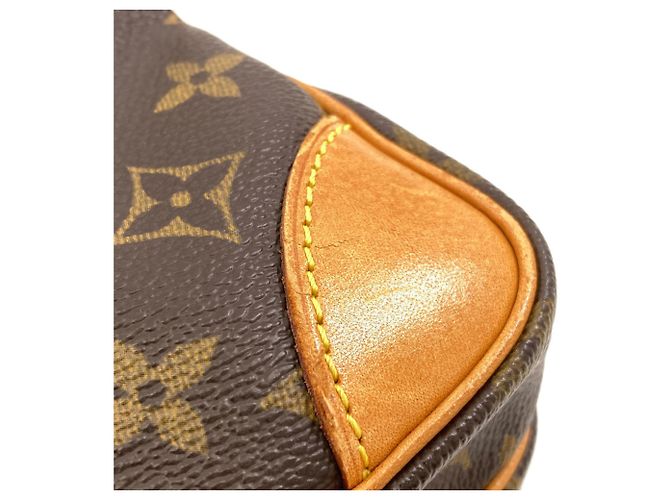 Borsa a tracolla Louis Vuitton Monogram Amazon Monogramma - vista 9