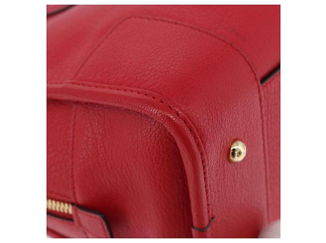 Borsa a mano LOEWE Amazona 28 in pelle rossa e oro Auth 197185SAM Rosso D'oro - vista 17