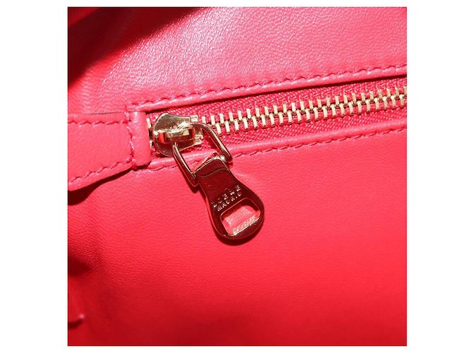 Borsa a mano LOEWE Amazona 28 in pelle rossa e oro Auth 197185SAM Rosso D'oro - vista 26