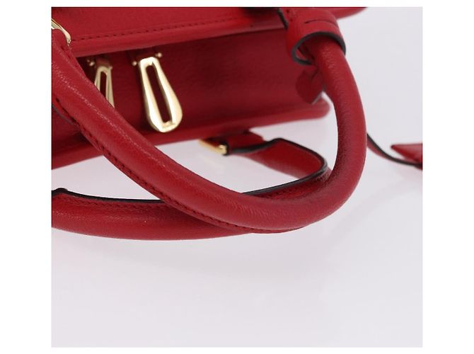 Borsa a mano LOEWE Amazona 28 in pelle rossa e oro Auth 197185SAM Rosso D'oro - vista 8