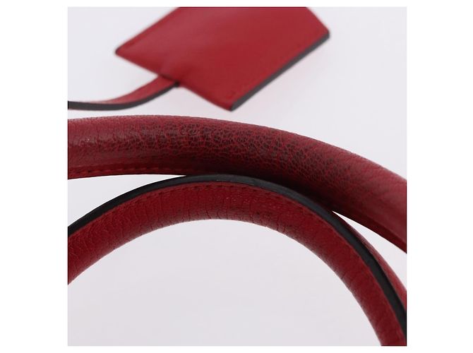Borsa a mano LOEWE Amazona 28 in pelle rossa e oro Auth 197185SAM Rosso D'oro - vista 9