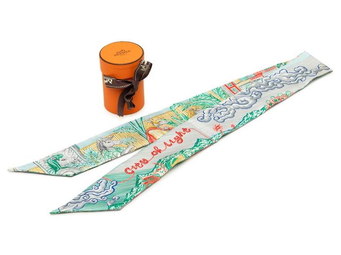 Hermès Twilly City of Light Hermes Marrone Multicolore Verde - vista 7