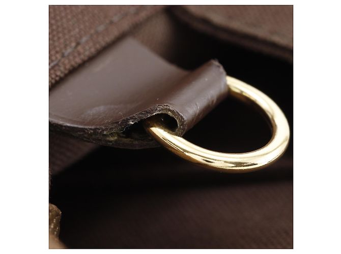 Borsa Tote/Borsa Boston Louis Vuitton Greenwich PM Marrone - vista 12