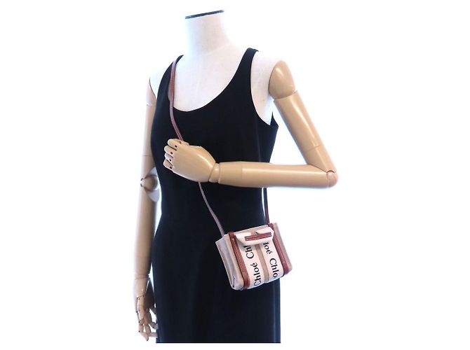 Borsa a tracolla Chloé Woody Nano Tote Marrone Bianco - vista 19