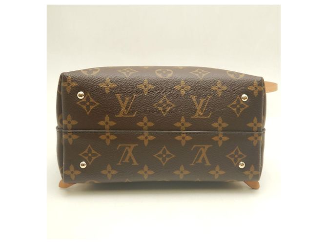 Zaino Louis Vuitton Monogram LV Moon Backpack Marrone - vista 5
