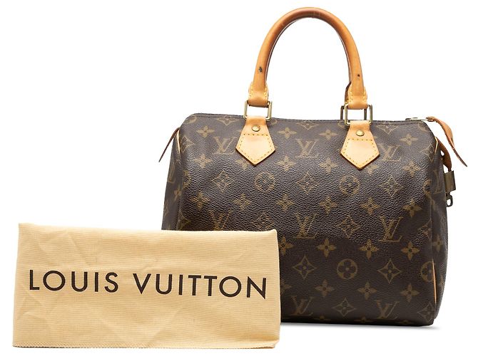 Louis Vuitton Brown Monogram Speedy 25 Marrone - vista 7