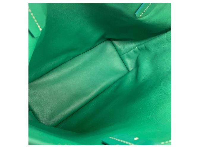 Borsa Goyard Mini Tote Verde - vista 9