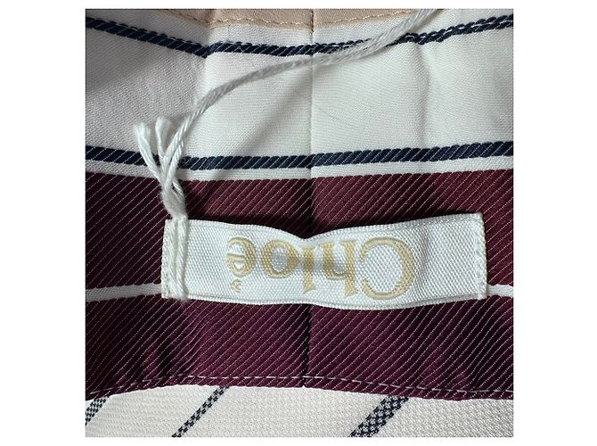 Pantaloni a righe Chloé in acetato multicolore - vista 10