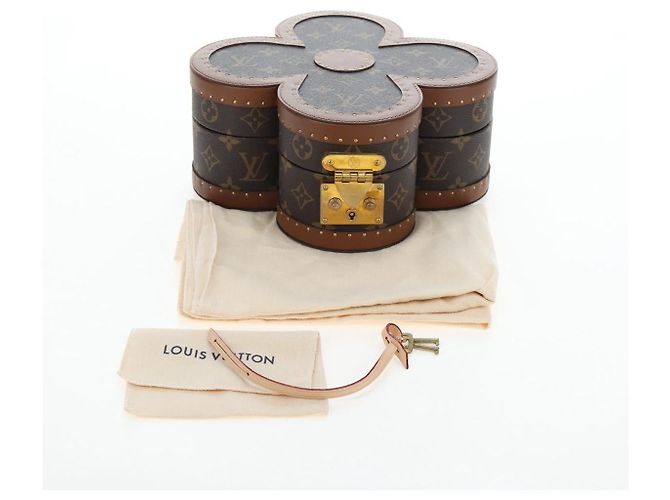 LOUIS VUITTON Monogram Blooming Box Accessory Case M11117 LV Auth 195505SM Monograma - vista 12