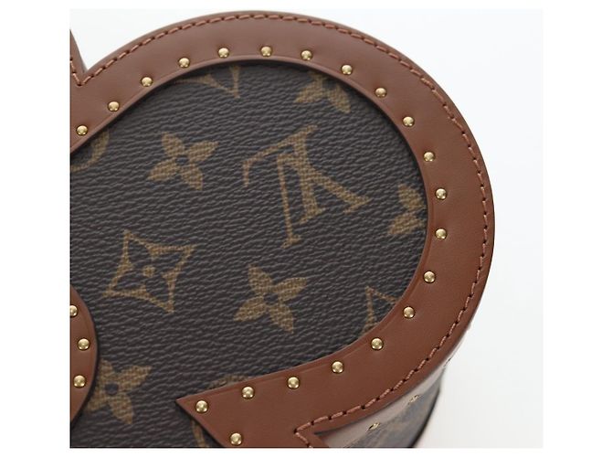 LOUIS VUITTON Monogram Blooming Box Accessory Case M11117 LV Auth 195505SM Monograma - vista 17