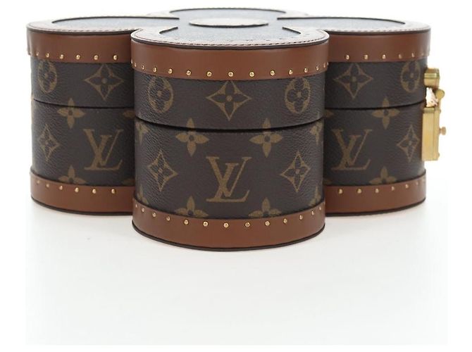 LOUIS VUITTON Monogram Blooming Box Accessory Case M11117 LV Auth 195505SM Monograma - vista 4