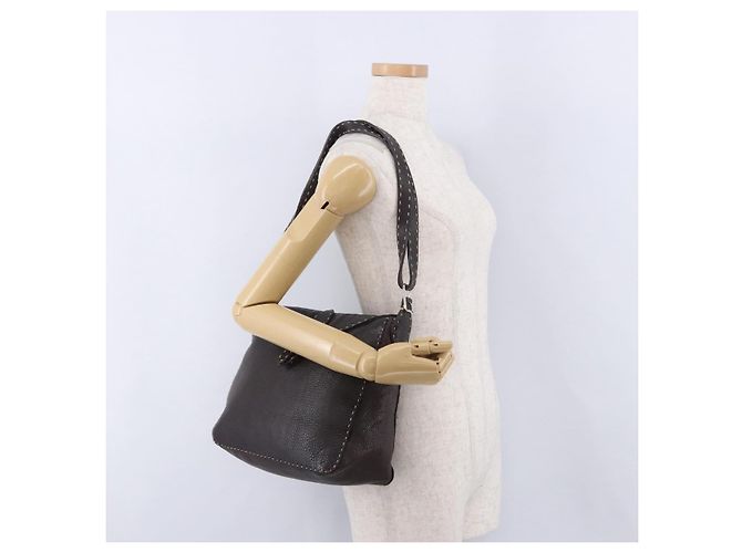 Borsa a tracolla FENDI Celeria in pelle marrone argento Auth 198325 - vista 24