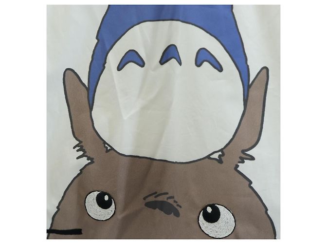 LOEWE Studio Ghibli Mi Vecino Totoro Camisa Algodón 34 Auth 167541SM Blanco - vista 10