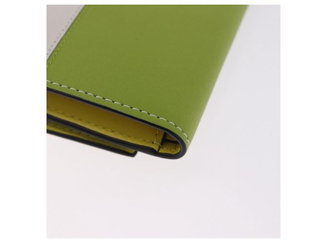 LOEWE x Studio Ghibli Spirited Away Ootori Sama Wallet Leather Auth 167499SM Verde - vista 15