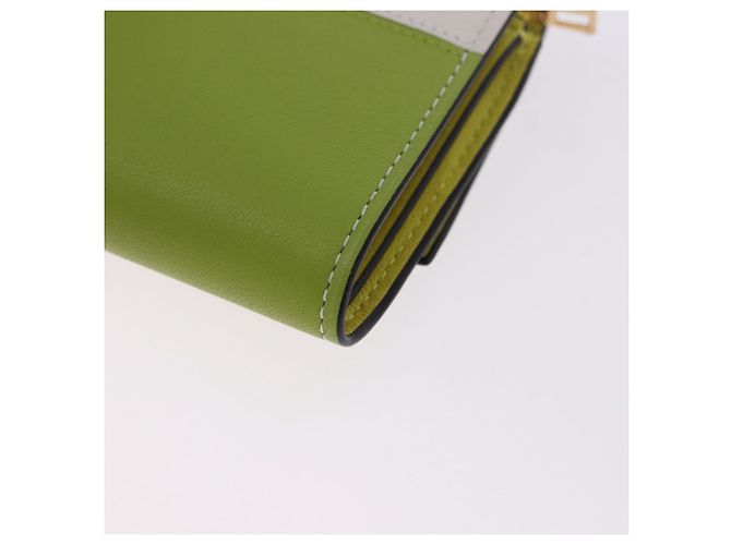 LOEWE x Studio Ghibli Spirited Away Ootori Sama Wallet Leather Auth 167499SM Verde - vista 16