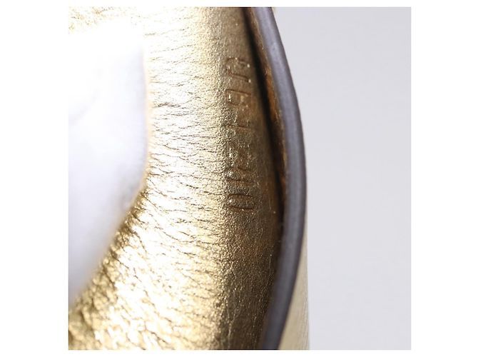 LOUIS VUITTON Monogram Pocrayon Gaston Pen Case Gold LV Auth 197153A Dorado Monograma - vista 12