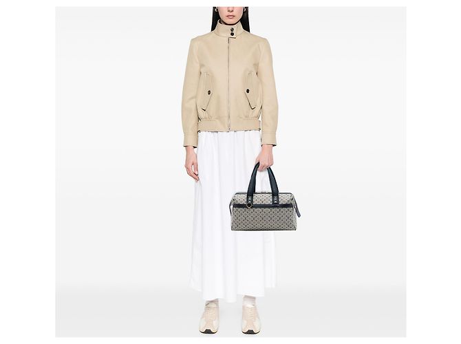 Borsa Louis Vuitton Monogram Mini Lin Josephine GM Grigia Grigio - vista 6