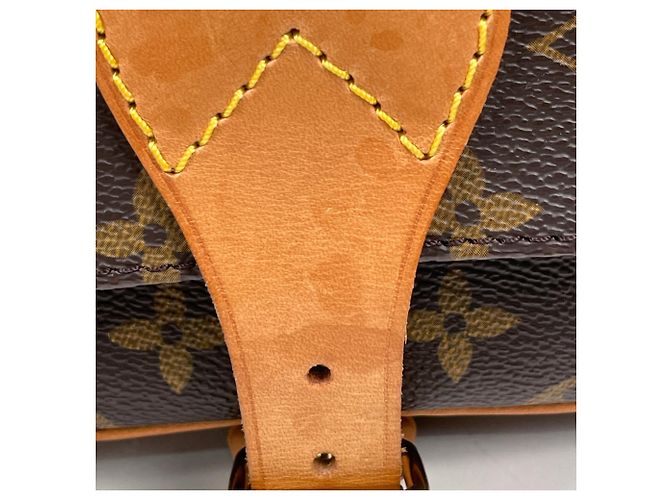 Borsa a tracolla Louis Vuitton Cartouchiere 22 Marrone - vista 4