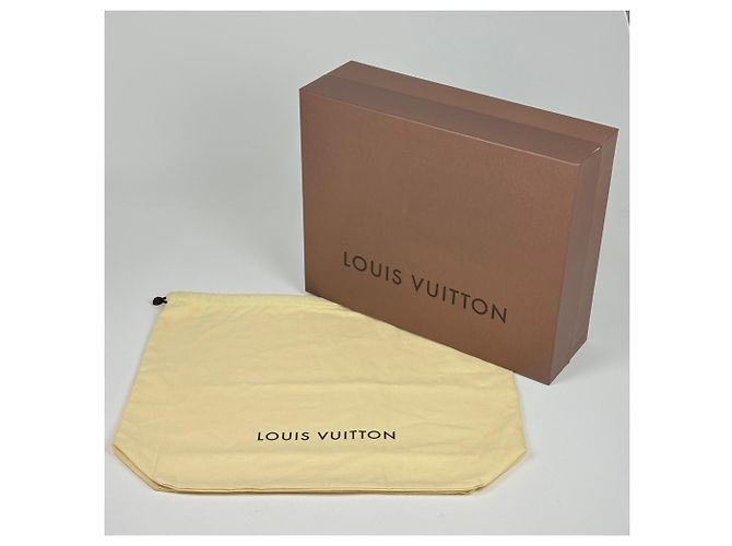 Borsa a tracolla Louis Vuitton Figeri PM Bianco - vista 8