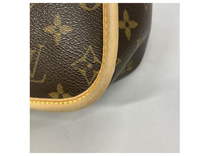 Borsa a tracolla Louis Vuitton Monogram Sologne Marrone - vista 7