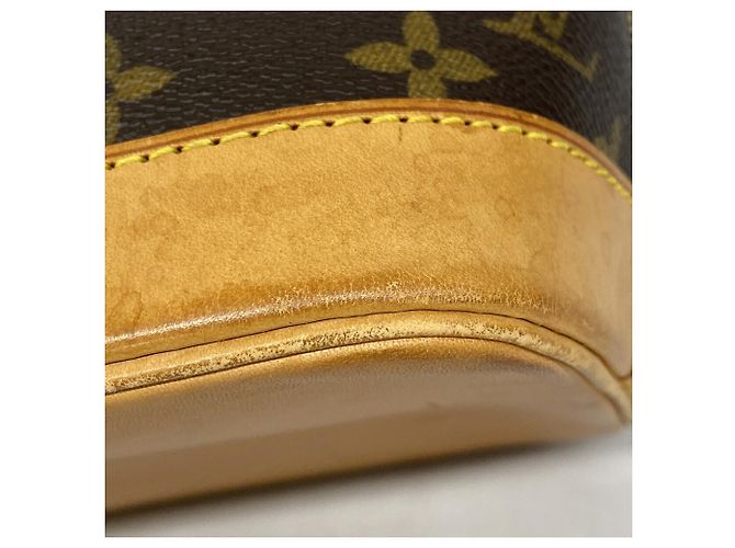 Borsa Louis Vuitton Alma Monogram Marrone - vista 6