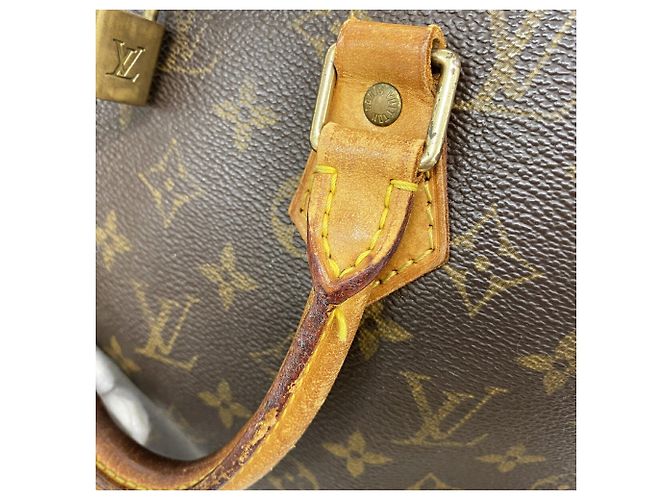 Borsa a mano Louis Vuitton Alma Monogram Marrone - vista 8