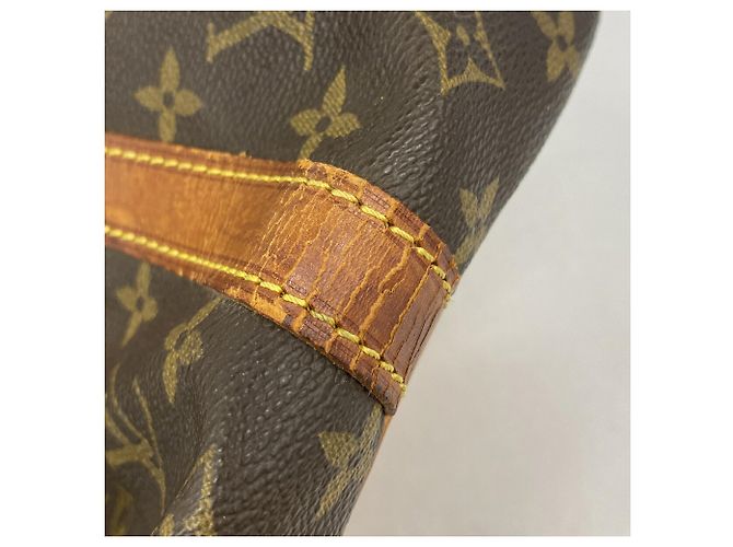 Noe Borsa a tracolla Louis Vuitton Monogram Petit Noé Marrone - vista 8