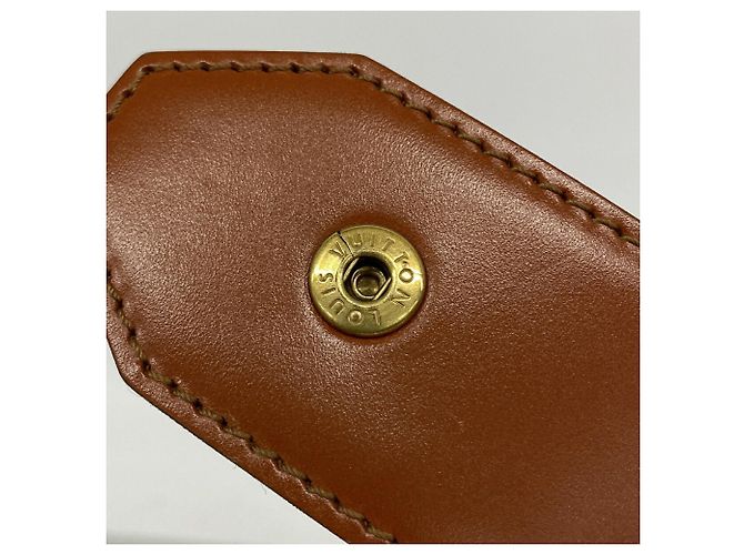 Louis Vuitton Epi Sac Depaule PM Shoulder Bag Marrone - vista 6