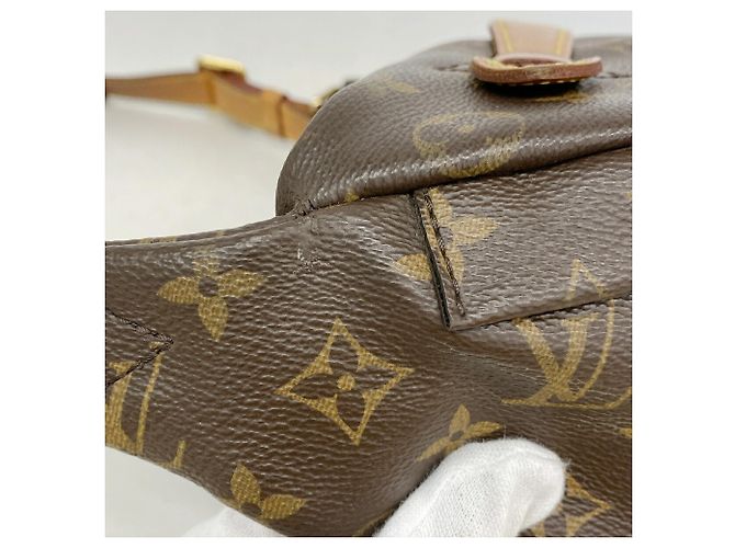 Louis Vuitton Monogram Bumbag M43644 Marrone - vista 6