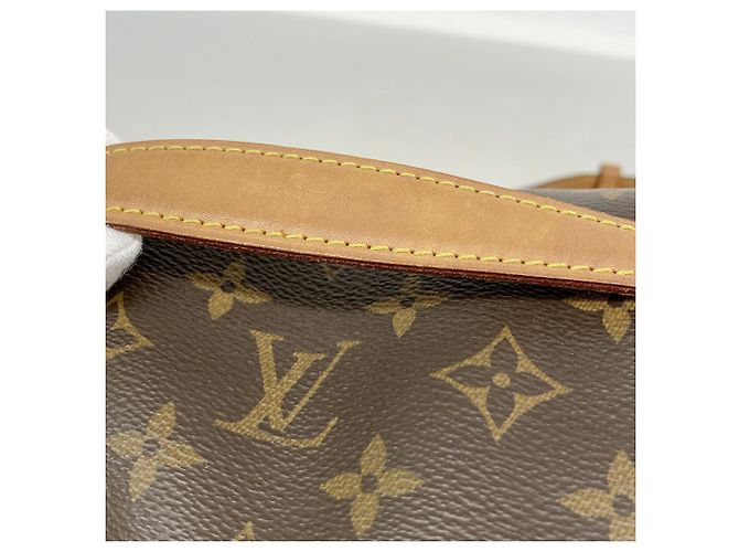 Louis Vuitton Monogram Bumbag M43644 Marrone - vista 8