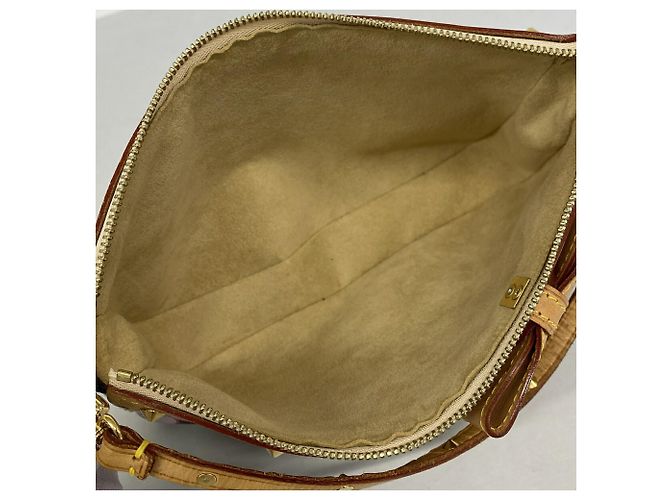 Louis Vuitton Monogram Cherry Blossom Pochette Accessoires Marrone - vista 4