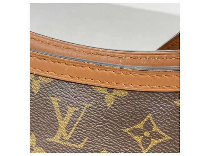 Borsa a tracolla Louis Vuitton Monogram Reverse Hobod Fine PM Marrone - vista 9