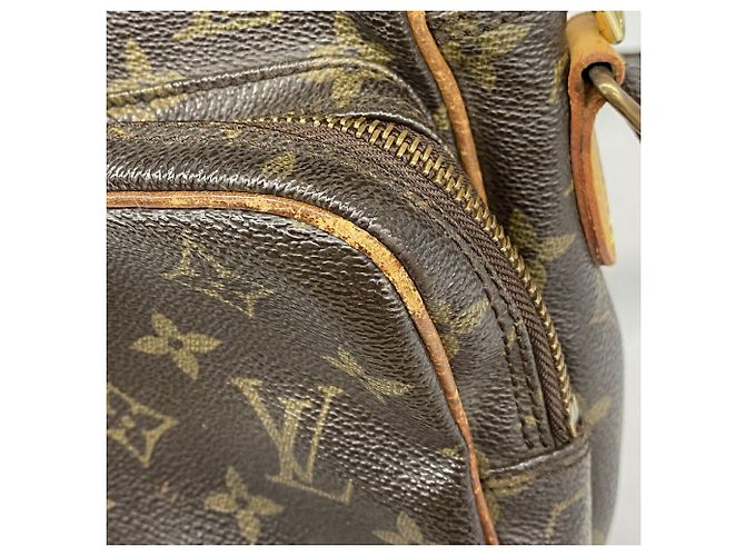 Borsa a tracolla Louis Vuitton Monogram Amazon Marrone - vista 11