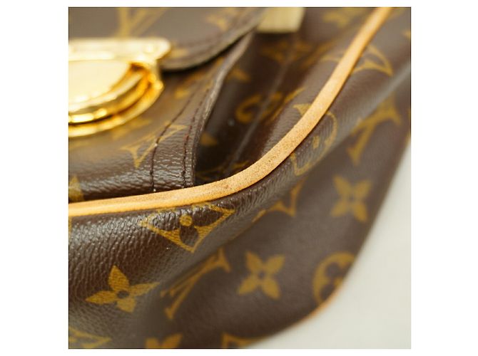 Borsa a tracolla Louis Vuitton Monogram Hudson GM Marrone - vista 6