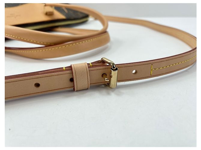 Borsa a tracolla Louis Vuitton Estrella Marrone - vista 11