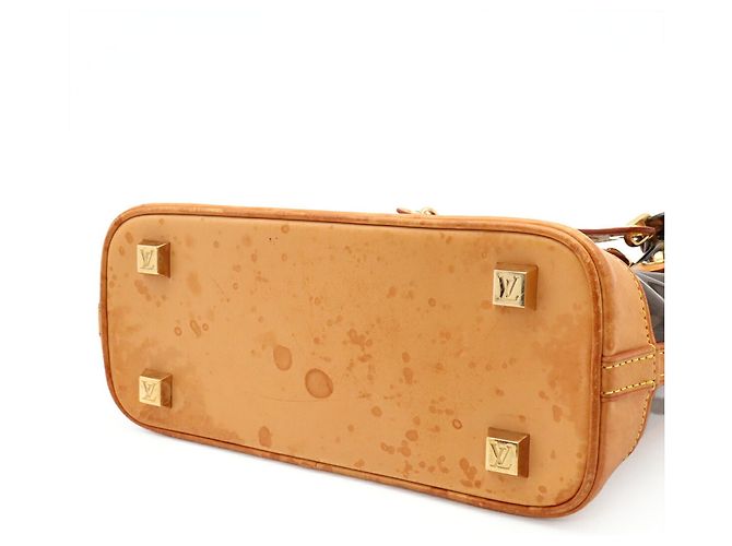 Borsa Louis Vuitton Monogram Vinyl Cabas Ambre PM Marrone - vista 6