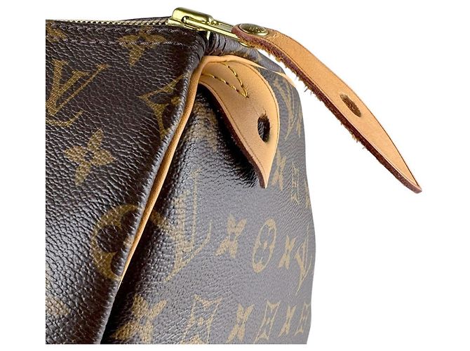 Borsa Boston Louis Vuitton Speedy 40 Monogram Canvas Marrone Monogramma - vista 5