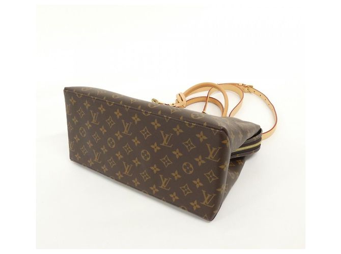 Borsa Louis Vuitton Monogram Grand Palais MM Marrone - vista 2