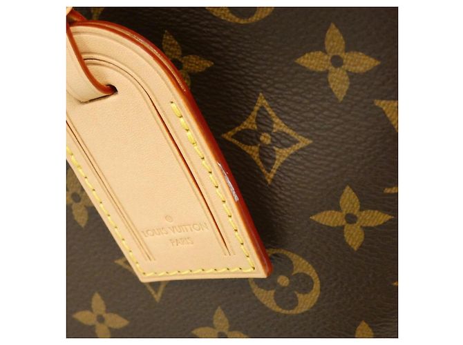 Borsa Louis Vuitton Monogram Grand Palais MM Marrone - vista 4