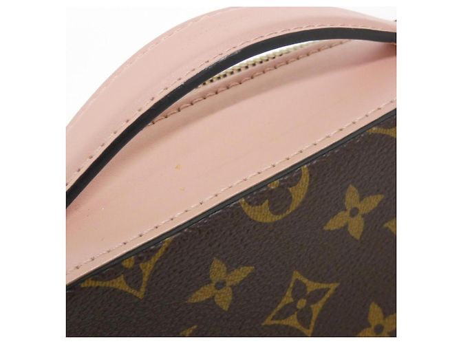 Borsa a tracolla Louis Vuitton Monogram Saint-Onge Marrone Rosa - vista 4