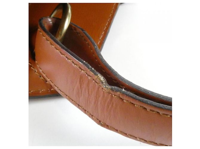 Borsa a tracolla Louis Vuitton Epi Cluny Marrone - vista 7